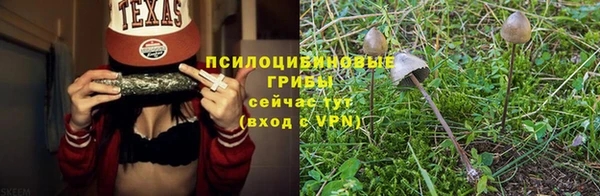 мдма Богданович