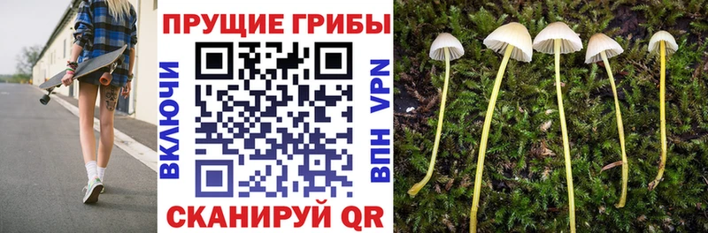 гидра ONION  Гулькевичи  Галлюциногенные грибы прущие грибы 